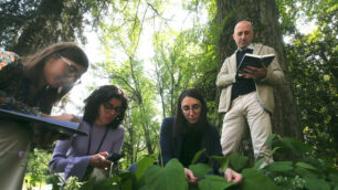 Monza Ricercatori universitari Milano Bicocca impegnati nella catalogazione delle piante del parco per realizzare un erbario