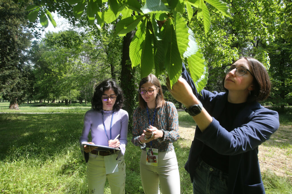 Monza Ricercatori universitari Milano Bicocca impegnati nella catalogazione delle piante del parco per realizzare un erbario