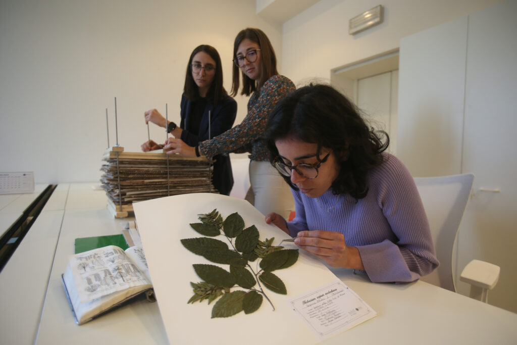 Monza Ricercatori universitari Milano Bicocca impegnati nella catalogazione delle piante del parco per realizzare un erbario