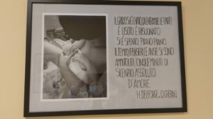 Desio quadro ostetricia