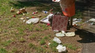 I rifiuti abbandonati al parco di Lissone