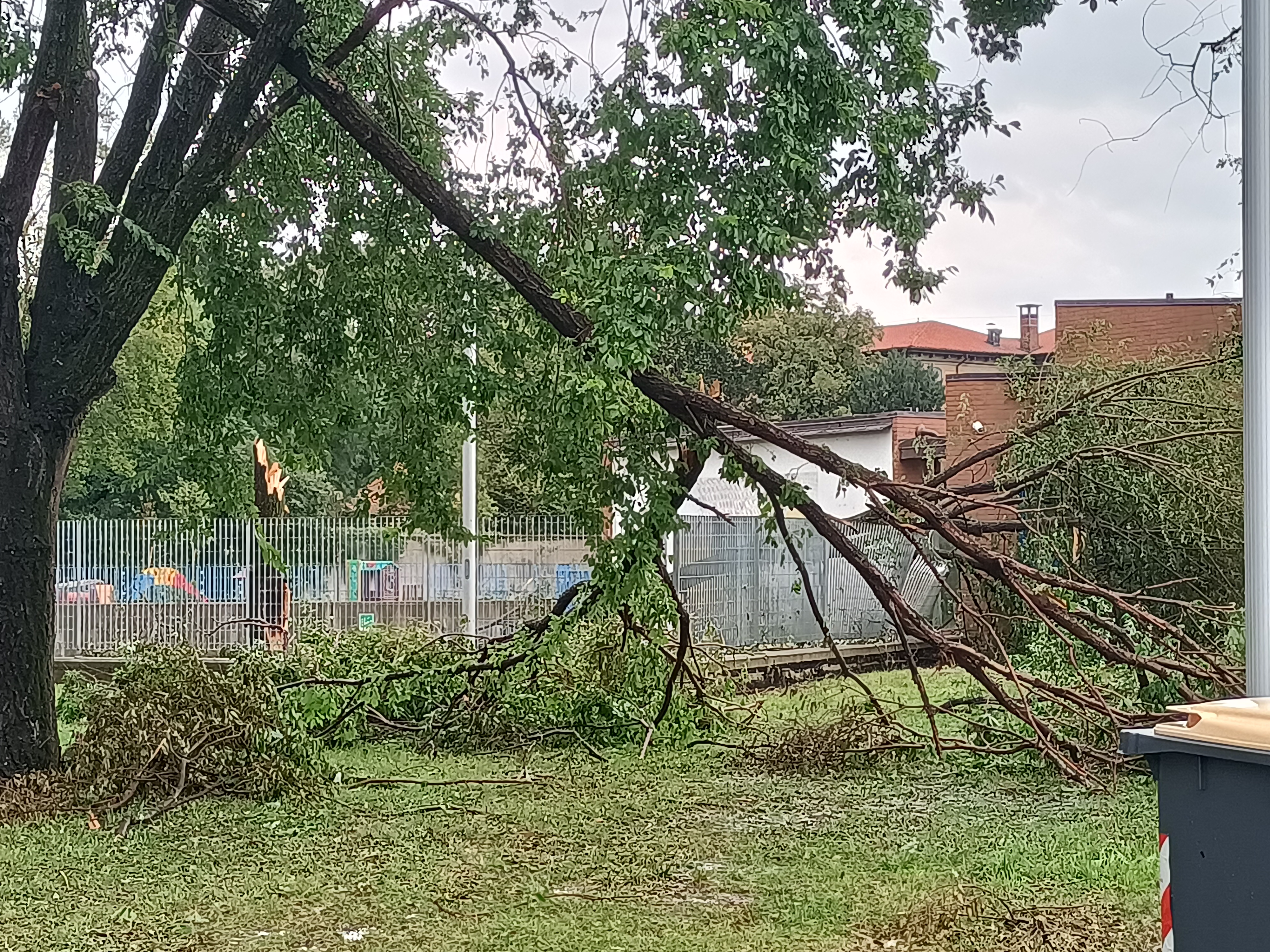 Meteo 24 luglio: Monza