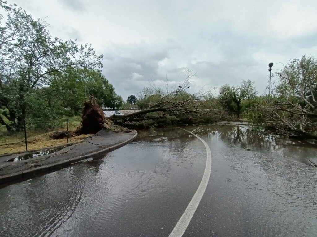 Meteo 24 luglio: Monza