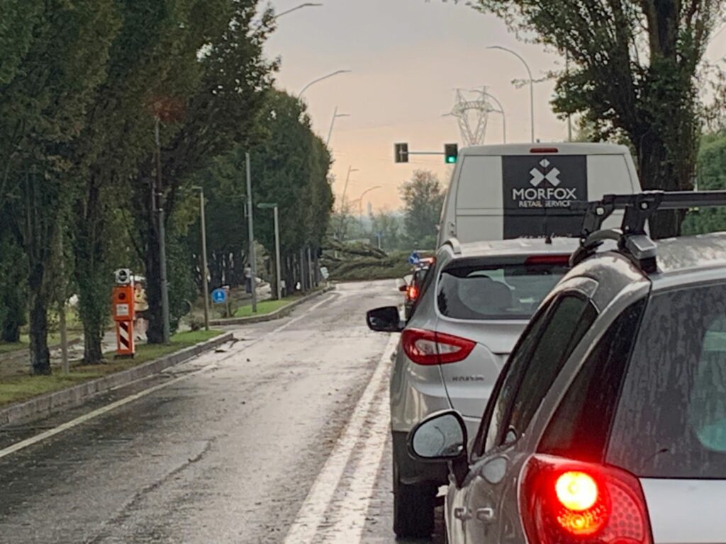 Meteo 24 luglio: Lesmo