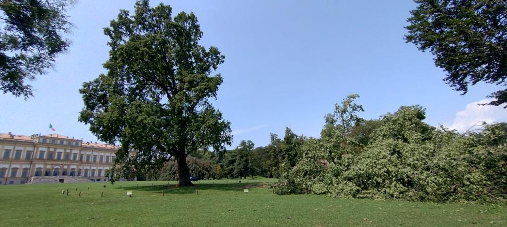 Nubifragi danni Parco e Giardini Villa reale