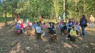 Macherio scuola primaria Bosco dei Proverbi