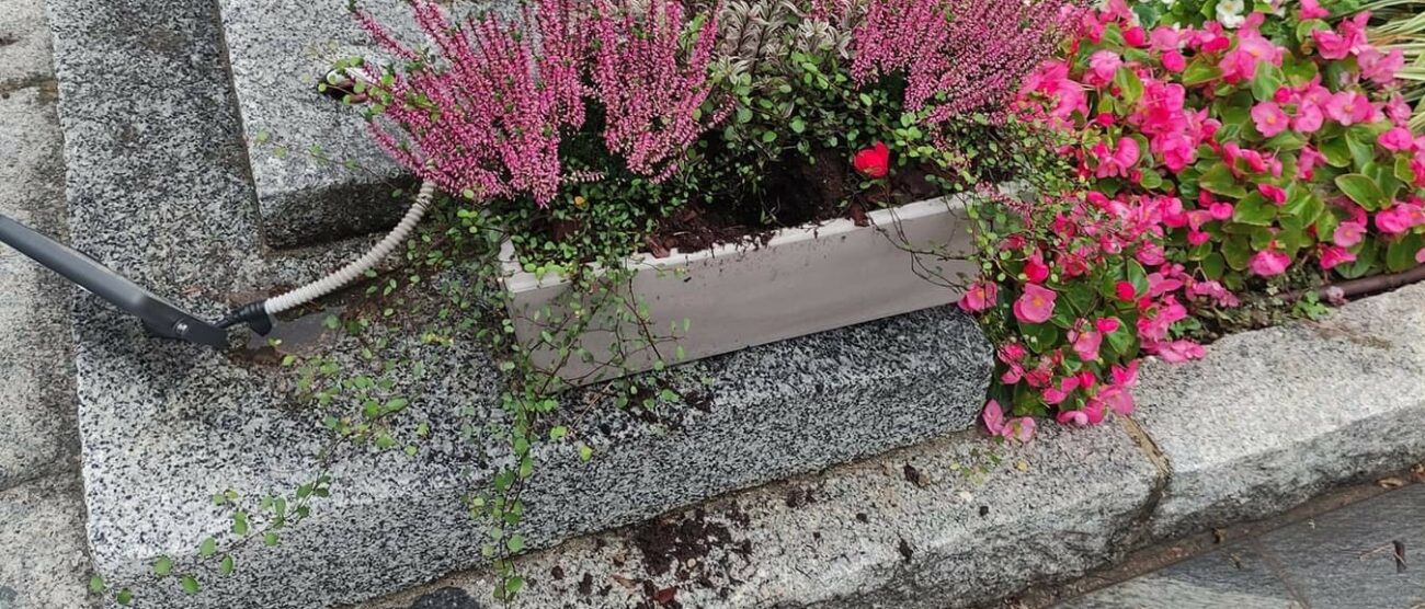 Sovico ladro di fiori al monumento Avis