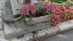 Sovico ladro di fiori al monumento Avis