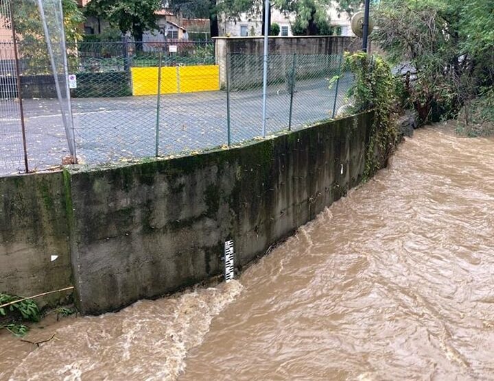 Paderno Dugnano fiume Seveso