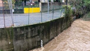 Paderno Dugnano fiume Seveso