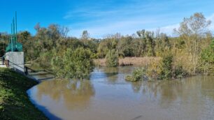 Lambro diga Fornacetta Briosco