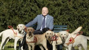 Cani guida Limbiate Giovanni Fossati