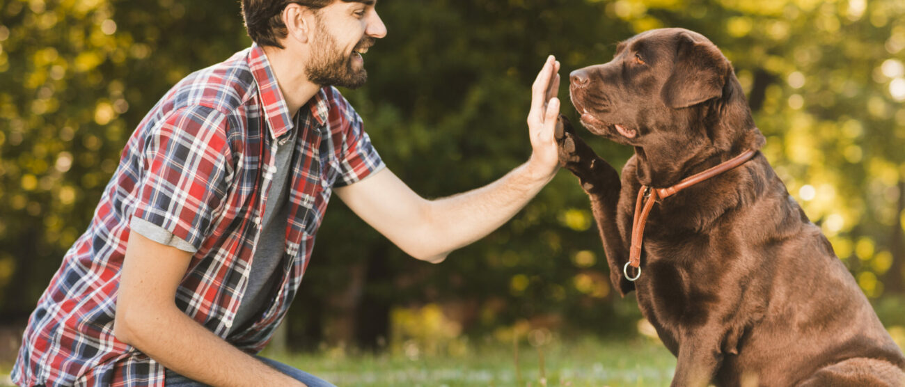 Feeling tra un cane e il suo proprietario - Image by Freepik