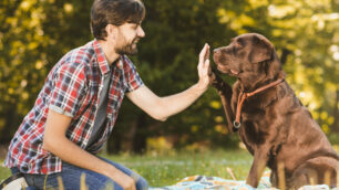 Feeling tra un cane e il suo proprietario - Image by Freepik