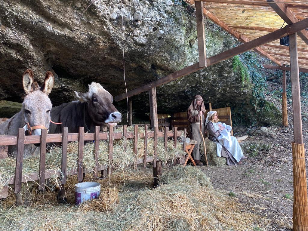 Carate Brianza Agliate presepe