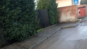 Monza area Cantalupo pulita dai rifiuti abbandonati