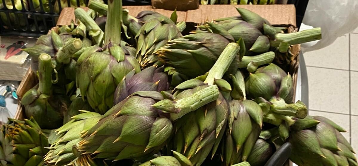 Meda carciofi sequestrati