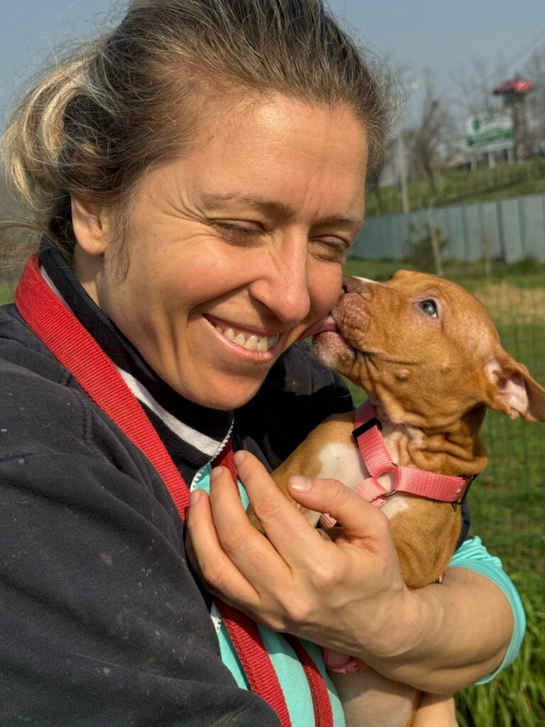 Cuccioli amstaff Enpa MB