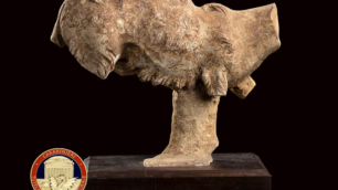 I reperti del museo di Torre di Pandolfo di Capodiferro recuperati