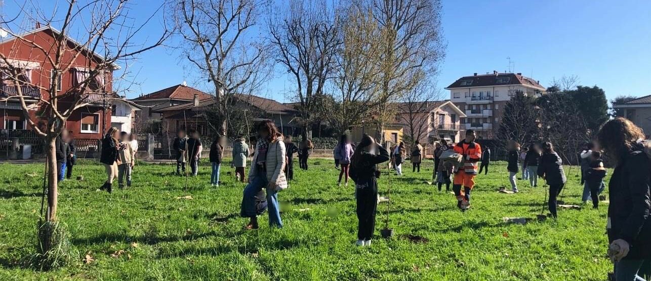 Limbiate nuovi alberi