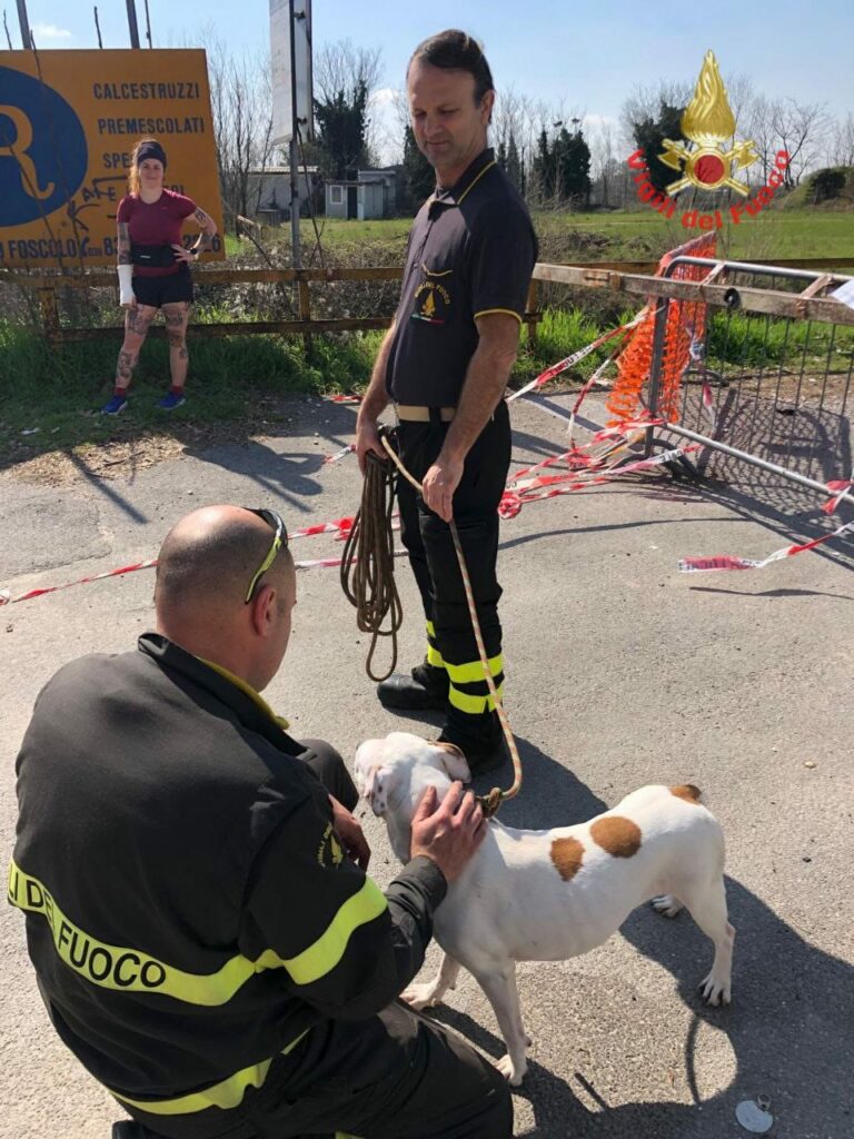 Monza cane Villoresi - foto Vigili del fuoco