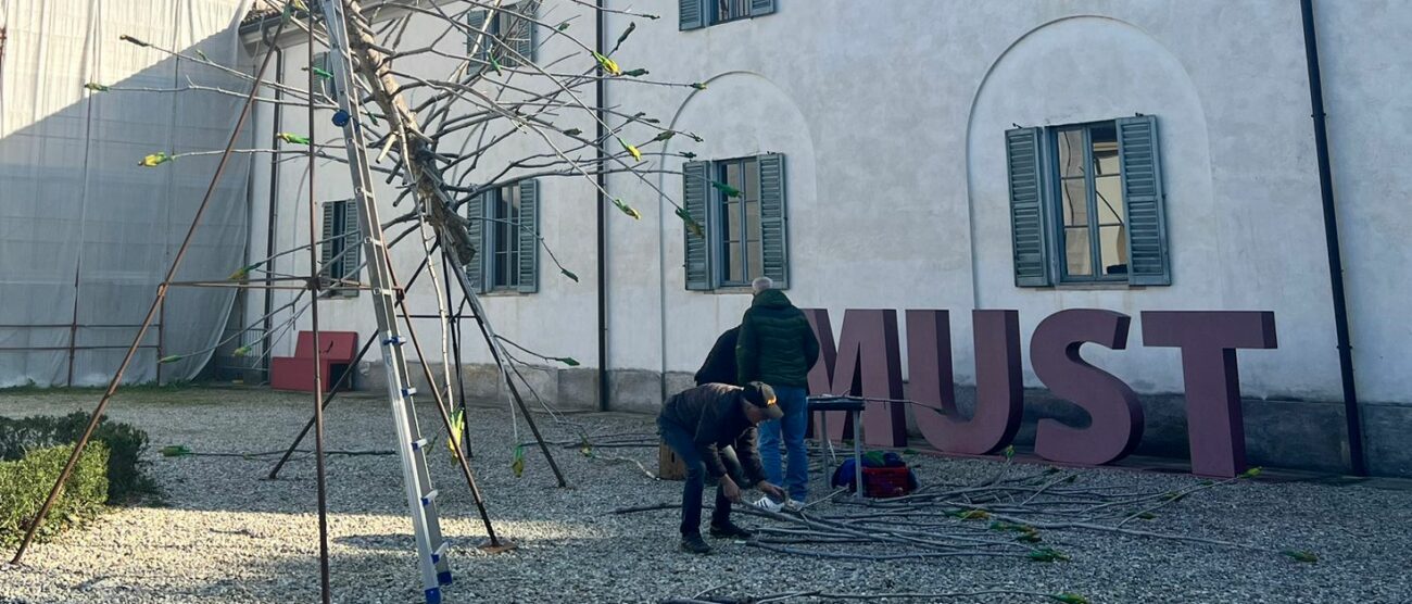 Vimercate Albero dei Tutti Must