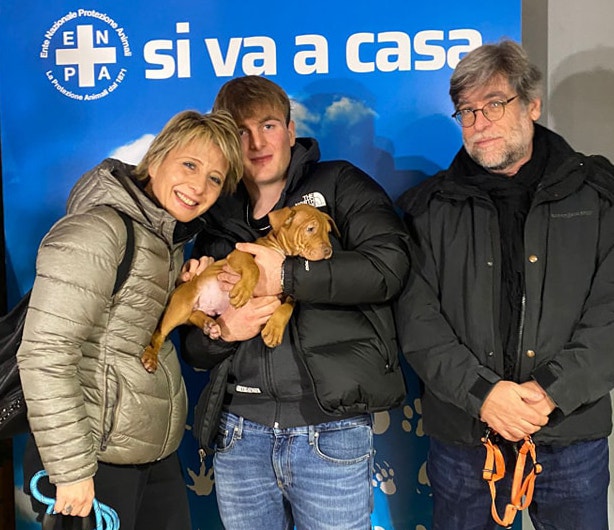 Cuccioli amstaff Enpa MB adottati 2024