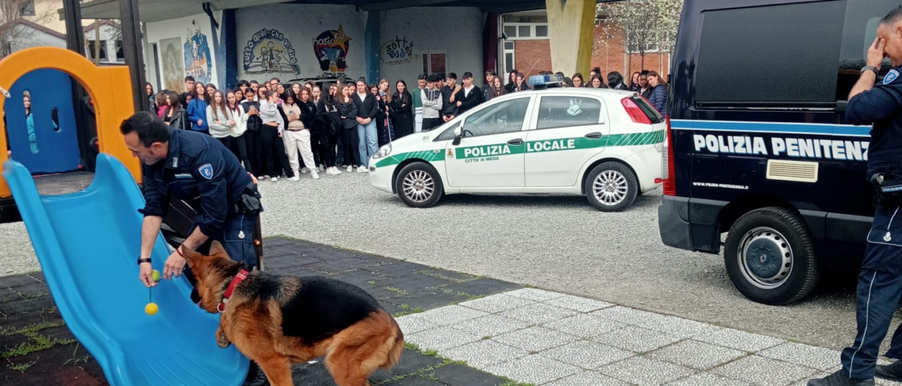 Meda unità cinofila Bollate a scuola superiore Don Milani