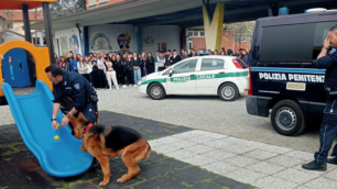 Meda unità cinofila Bollate a scuola superiore Don Milani