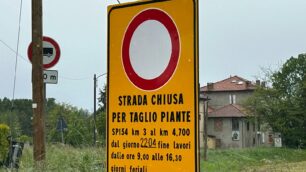 Correzzana avviso taglio piante