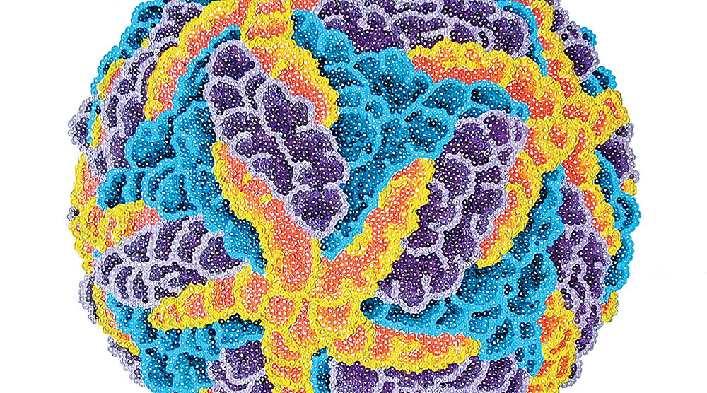 Elisa Cella, 23-C28 Virus Dengue, olio su acrilico su tela, 20x21 cm (2023)