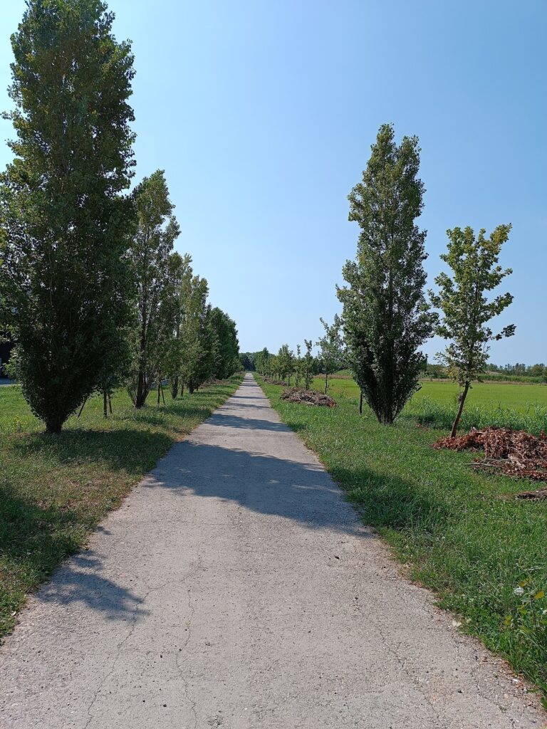 Sentierone GruBria Piana del Novale a Nova Milanese