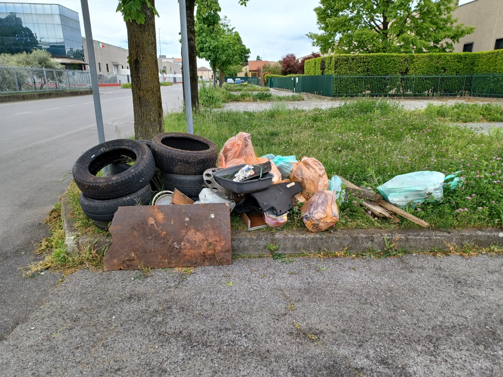 Plastic free raccolta rifiuti