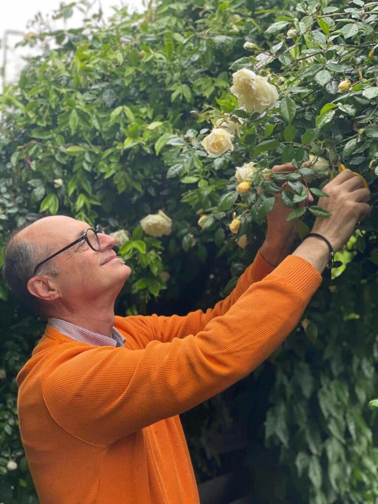 Paderno Dugnano Adotta una rosa