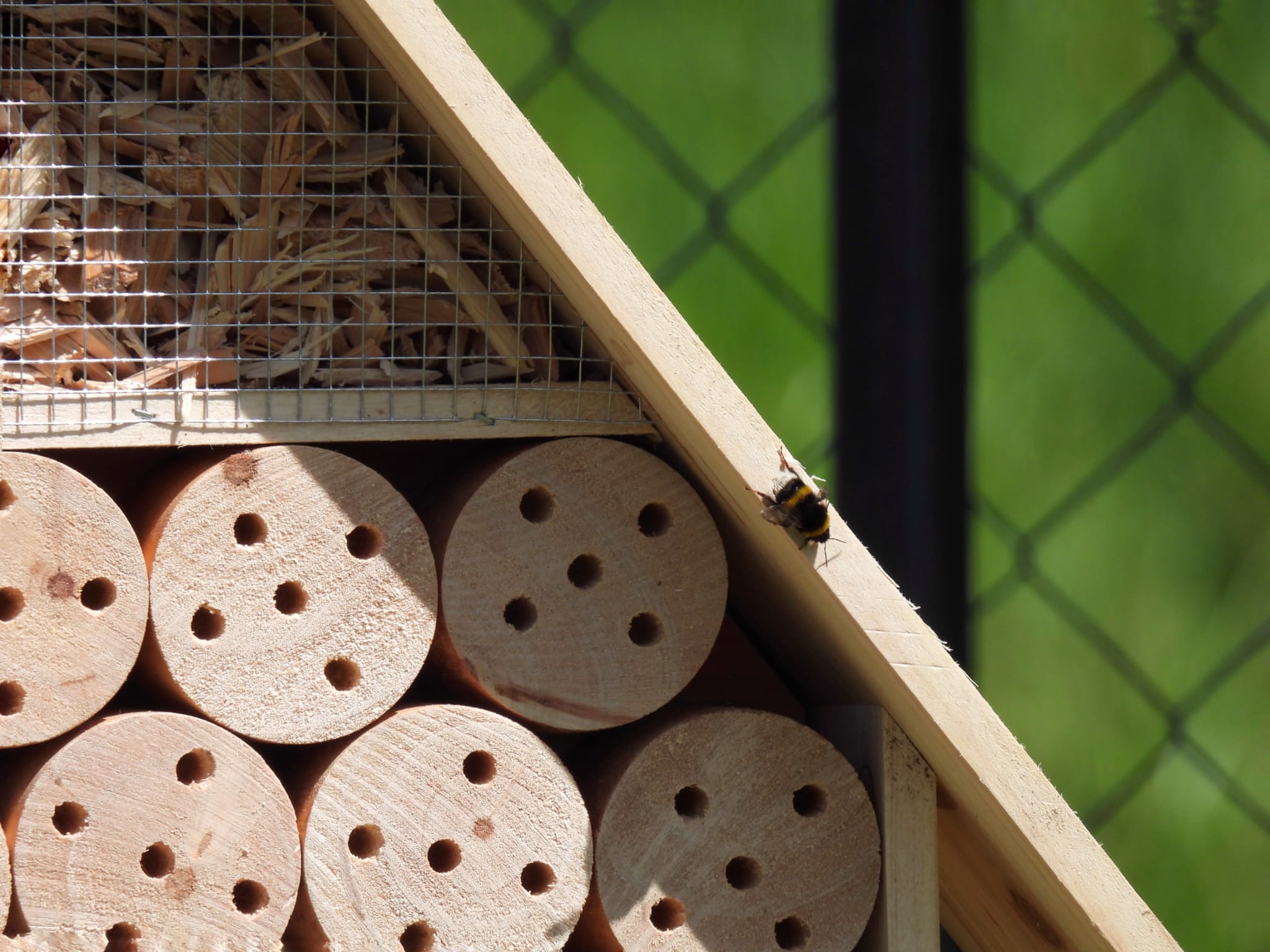 Monza casette api Enel beE-Diversity