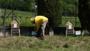 Monza casette api Enel beE-Diversity