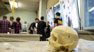 Lissone Europa Unita