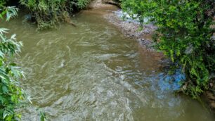 Sversamento viola nel Lambro a Ponte Albiate