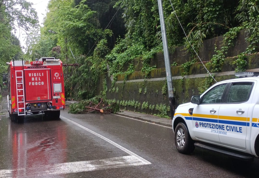 Seveso albero caduto su strada