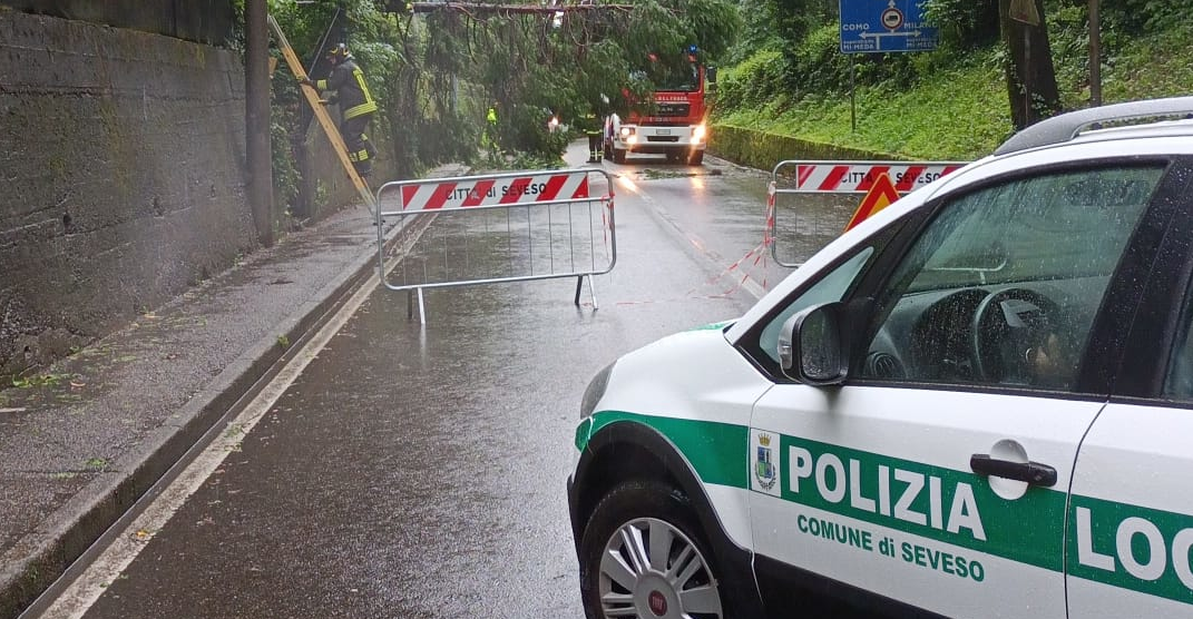 Seveso albero caduto su strada