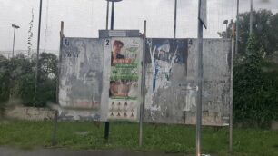 Albiate manifesti strappati Volpi