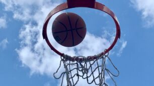 Basket canestro playground