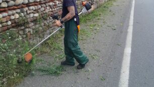 Monza taglio erba strade