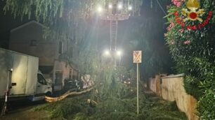 Monza vigili del fuoco taglio pianta