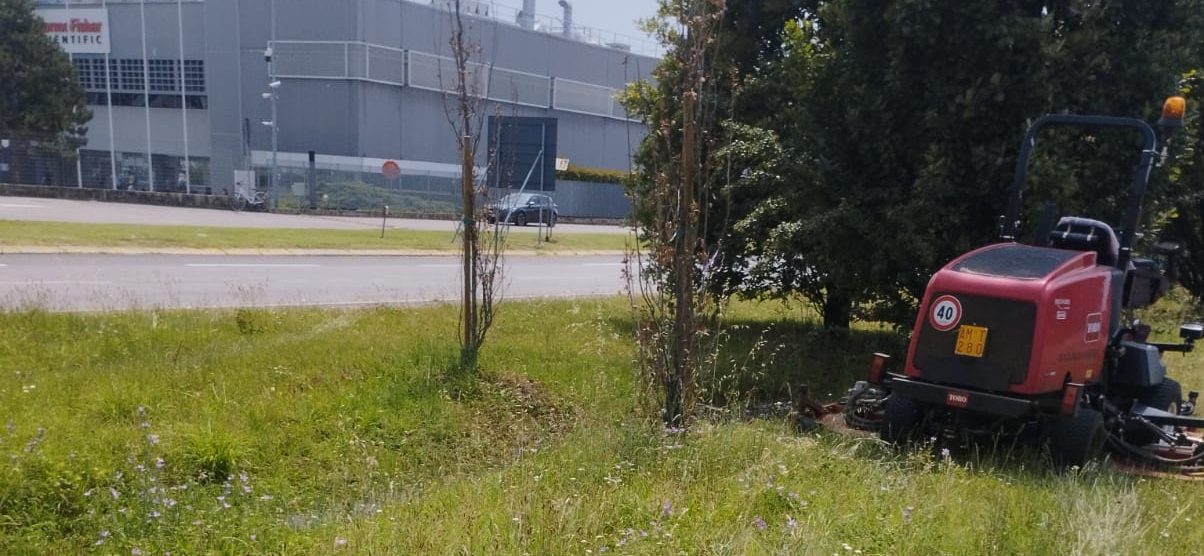Monza taglio erba strade