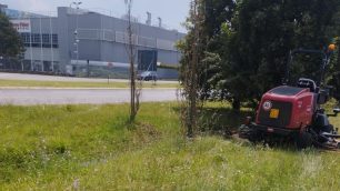 Monza taglio erba strade