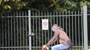 Monza Passi carrai