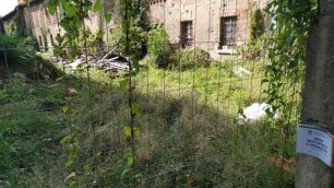 Verano Brianza Curt del Veranett