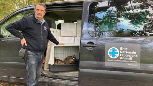 Monza presidente Enpa Riva con fagiani - foto Enpa MB
