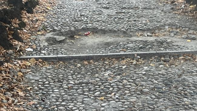 Monza la scalinata che porta alla stazione FS